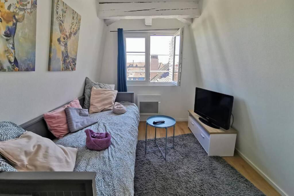 ** Appartement Cathedrale Strasbourg Centre** 外观 照片